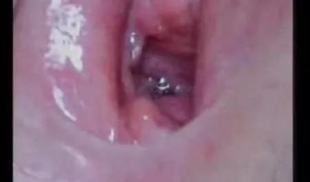 امتص ، افلام جنس افلام سكس قفز على عضو ، شاعر المليون 1